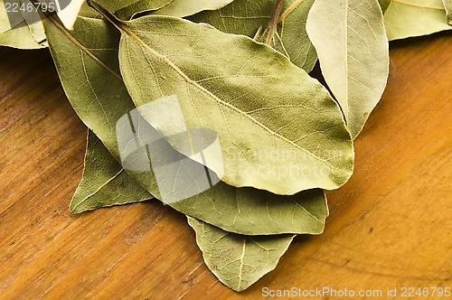 Image of bay leafs