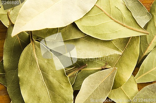 Image of bay leafs