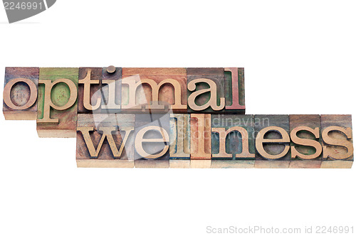 Image of optimal wellness in wood type