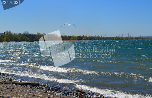 Image of Waves on lake Ontario.