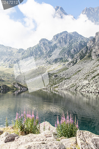 Image of Alpine lake
