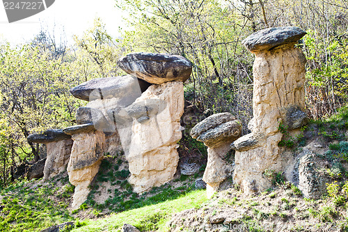 Image of Imaginative forest landscape
