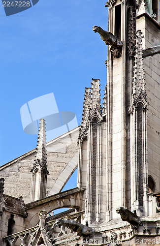 Image of Notre Dame Cathedral - Paris
