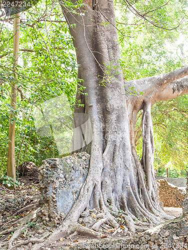 Image of Gede Ruins