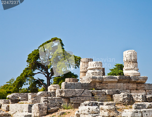 Image of Paestum temple - Italy