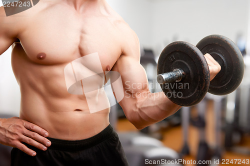 Image of Standing Bicep Dumbbell Curl
