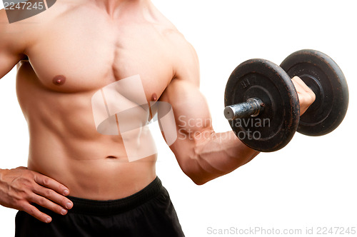 Image of Standing Bicep Dumbbell Curl