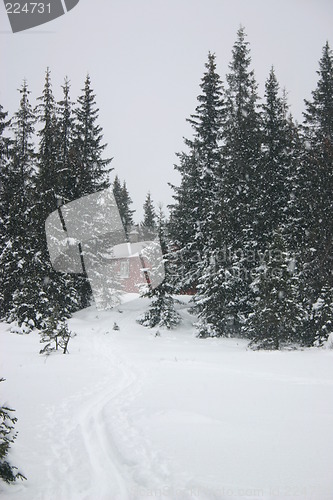 Image of snowy winter landscape with red cottage