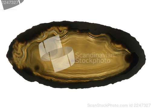 Image of brown agate gem isolated 