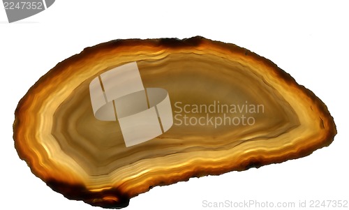 Image of agate gem isolated 