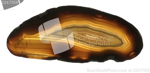 Image of brown agate gem isolated 