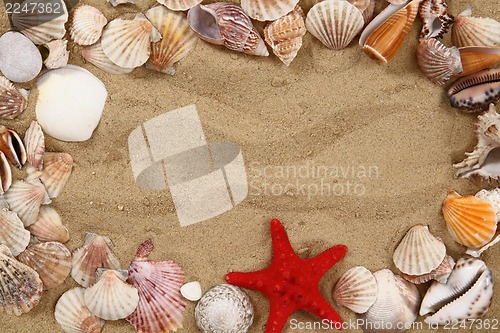 Image of summer sea shells in the yellow sand