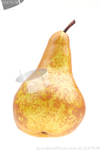 Image of Pear