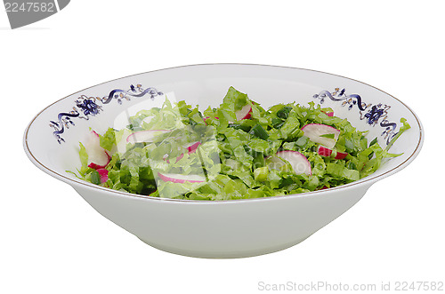Image of Fresh salad on plate