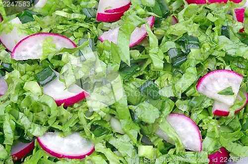 Image of Radish salad background