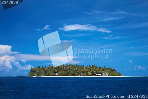 Image of Tropical Island