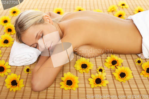 Image of Daily Spa