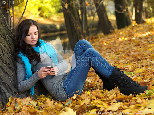 Image of Beauty during autumn