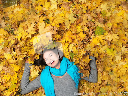 Image of Beauty during autumn