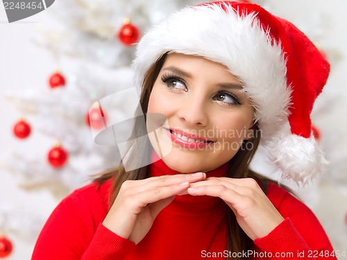 Image of Christmas Beauty