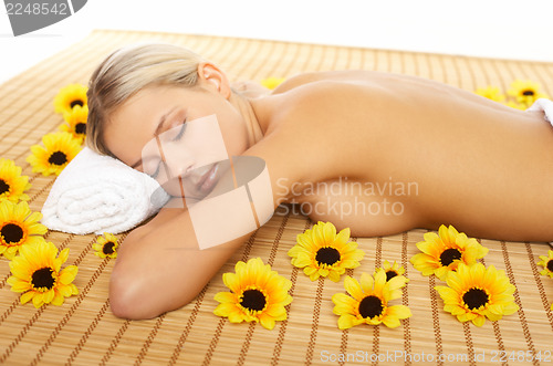 Image of Daily Spa