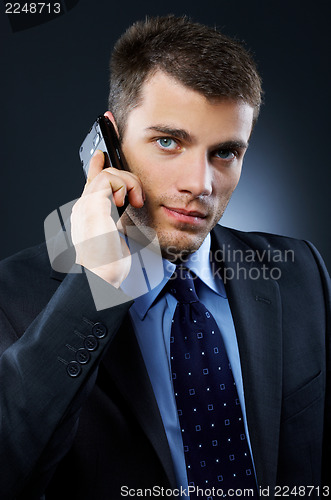 Image of Portrait of Businessman