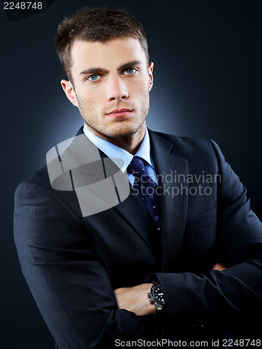 Image of Portrait of Businessman