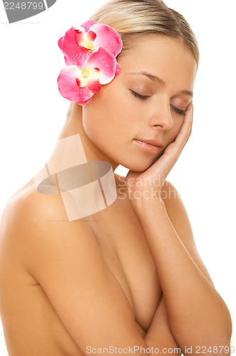 Image of Daily Spa