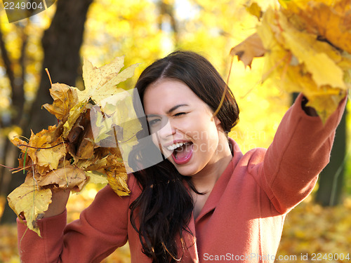 Image of Beauty during autumn