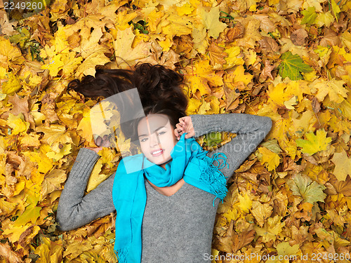 Image of Beauty during autumn