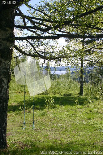 Image of natural playground