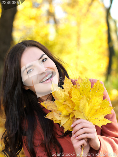 Image of Beauty during autumn
