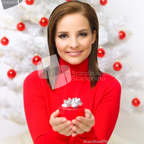 Image of Christmas Beauty