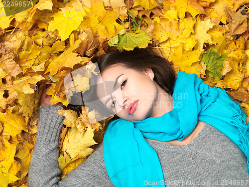 Image of Beauty during autumn