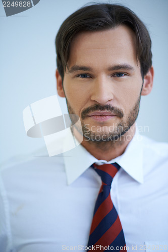 Image of Portrait of a Caucasian confident businessman