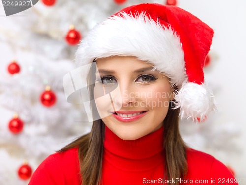 Image of Christmas Beauty