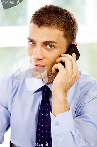 Image of Portrait of Businessman