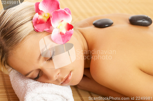 Image of Daily Spa