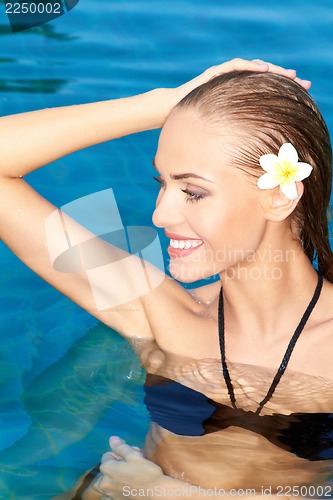 Image of Cutie in the swiming pool