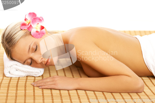 Image of Daily Spa