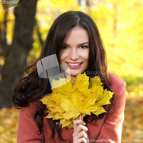 Image of Beauty during autumn