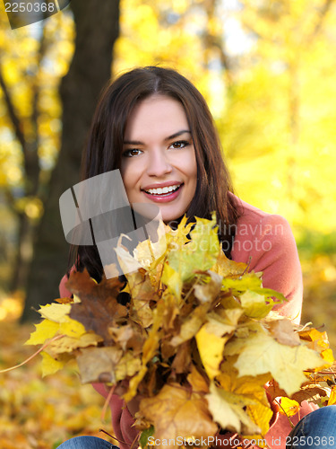 Image of Beauty during autumn