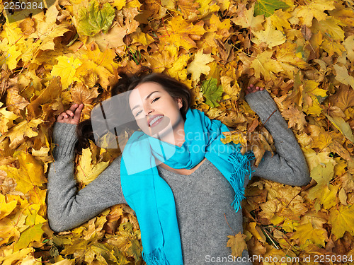 Image of Beauty during autumn