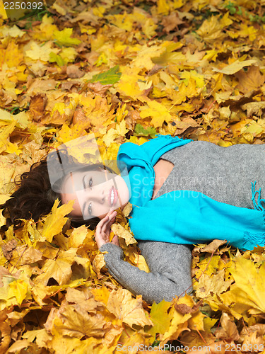 Image of Beauty during autumn