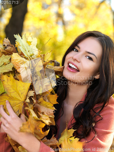 Image of Beauty during autumn