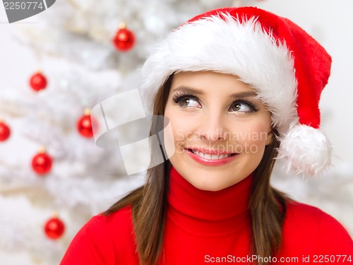 Image of Christmas Beauty