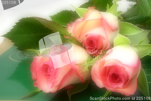 Image of roses and chocolates