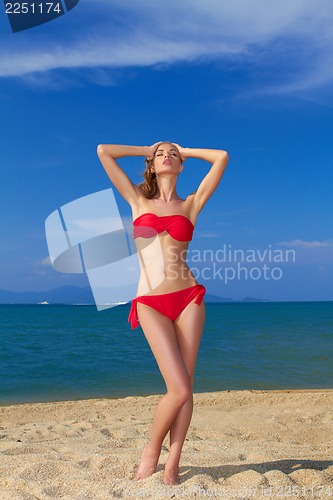 Image of Sexy woman in red bikini