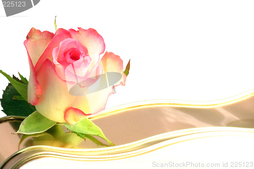 Image of rosebud isolated