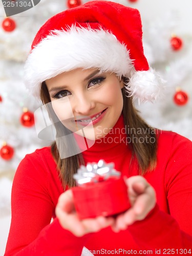 Image of Christmas Beauty